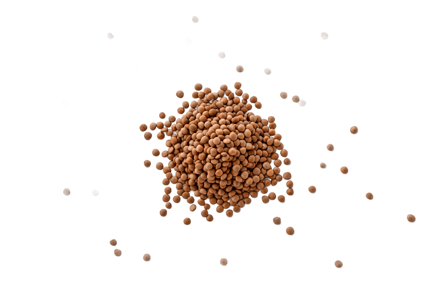 Lentils Brown (1kg)